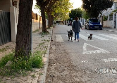 las aceras no se pueden usar