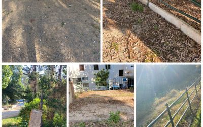 Jardines de Viña Málaga en Torre del Mar, abandonados