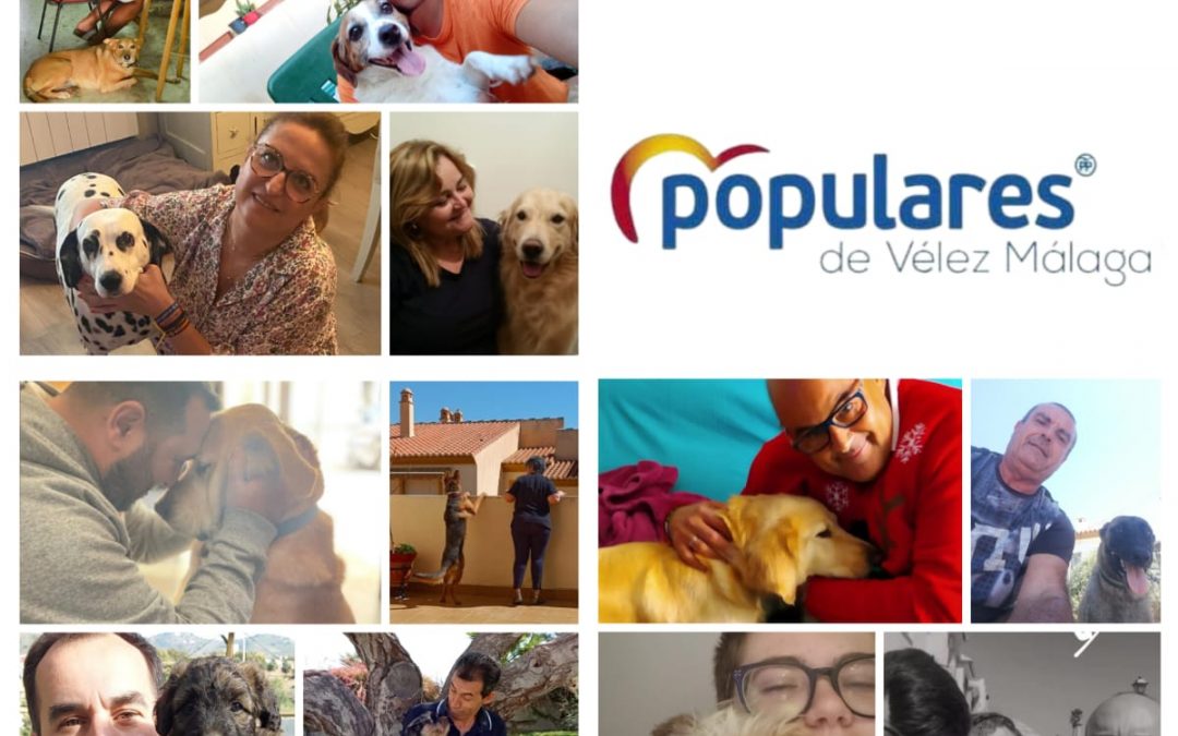 El Partido Popular recuerda el Día Mundial del Perro