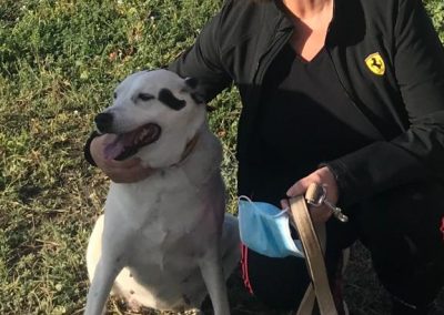 aeebdd55 7f55 480c 9b70 5e95985a2f87