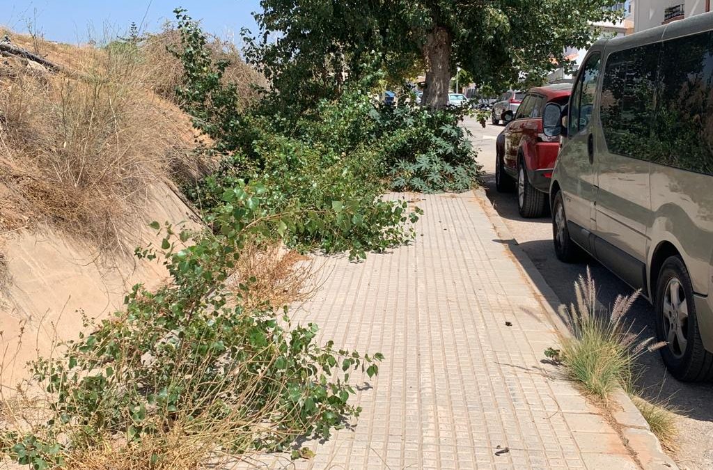 Los vecinos de Villas de Almayate, indignados con la situación de dejadez de su urbanización
