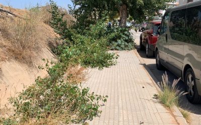 Noticias Almayate4 Los vecinos de Villas de Almayate, indignados con la situación de dejadez de su urbanización