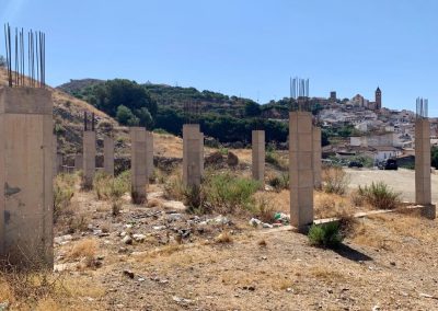 Golondrinas4