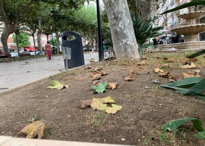 Paseo11