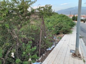 Torre del Mar, un lunes cualquiera Vina Malaga reja cortada y acera invadida Viña Málaga, reja cortada y acera invadida
