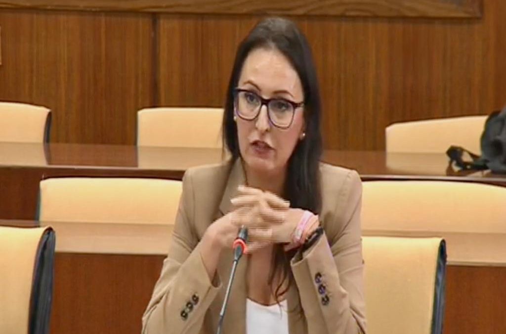 Rocío Ruiz pregunta a la consejera de Agricultura sobre las obras para mejorar el abastecimiento de agua en la Axarquía