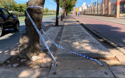 La Avenida Juan Carlos I necesita una mejor conservación