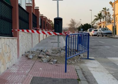 Tala indiscriminada de árboles en Almayate