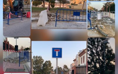 Tala indiscriminada de árboles en la urbanización Villas de Almayate