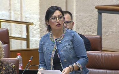 Rocío Ruiz vuelve a intervenir en el Parlamento de Andalucía