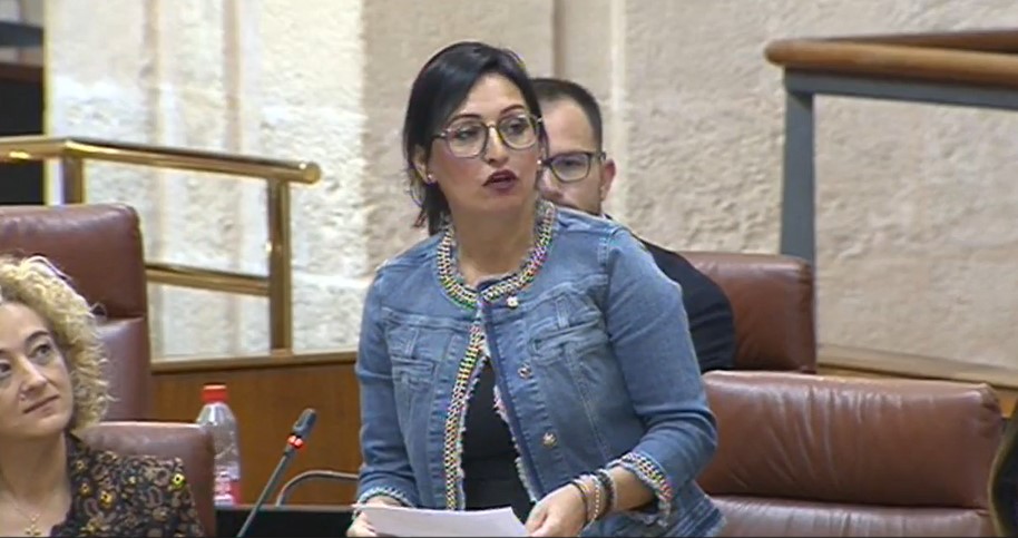 Rocío Ruiz vuelve a intervenir en el Parlamento de Andalucía