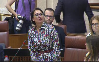Rocío Ruiz continúa con su actividad parlamentaria