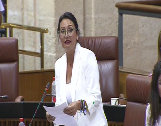 Rocío Ruiz pregunta en el pleno del Parlamento por los procedimientos de infracción en el dominio público marítimo-terrestre